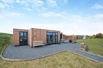 Image de Galloway Ewe - Uk46819