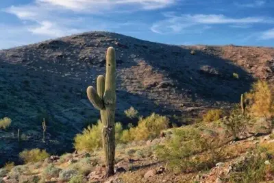 Image de WorldMark South Mountain Preserve - 2 Bedroom Accessible