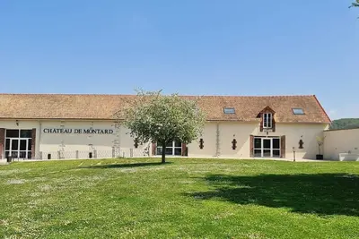Image de Gîte Château de Montard - Séjour d’évasion pour Familles et Amis