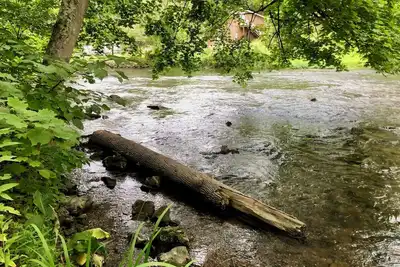Image de Creekside Cottage Retreat - Fishing, Penn State, Pet-Friendly!