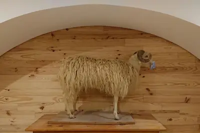 Image de Grand et Confortable Hébergement aux Portes du Parc National des Pyrénées