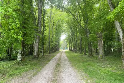 Image de Cottage dans un bain de verdure avec arbres magestieux. Idéal pour les familles