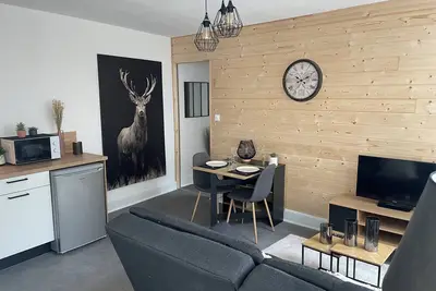 Image de Appartement au centre ville