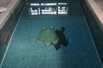 Image de Maison de campagne paisible avec piscine à proximité de Rennes