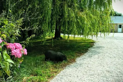 Image de Evasion entre terre et mer