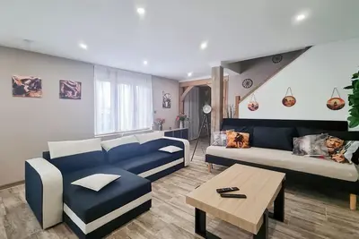 Image de A la campagne entre lac du Der et lacs et forets d' orient, le cygne de Bewick