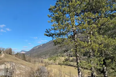 Gîte de montagne dans le Vercors : La Renardière Animaux de compagnie acceptés