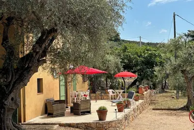 Image de villa au calme campagne et oliviers