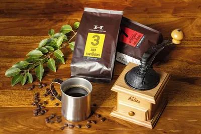 Image de Deerhouse Nagano: Western and Japanese Styles Cottage near by lake and forest