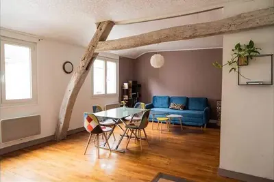 Image de Gite entre historique Beaugency