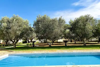 Image de Villa with pool surrounded by olive trees in salento