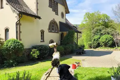 Image de An Art Nouveau Villa in the forests