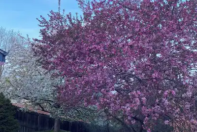 Image de Piano players welcome in my shared musical home!