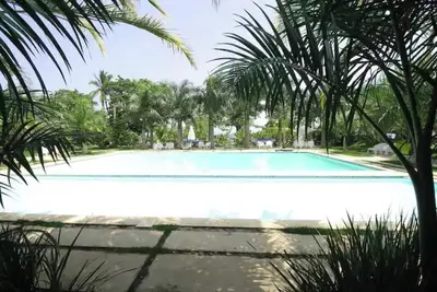 Coconut paradise beach apt
