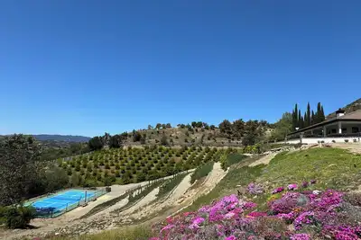 Image de Vineyard Farmhouse with Private Pickleball in Temecula