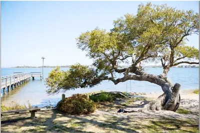 Image de Mariposa Coastal Cottage, minutes to N Topsail Beach, and Chadwick Bay, Nc
