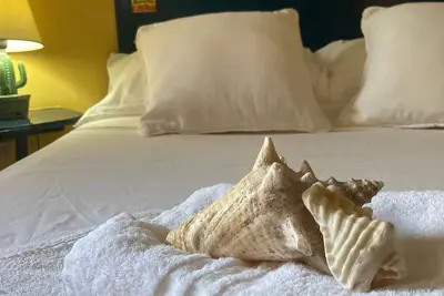 Image de Apartamento Para dos Persona en Playa Publica de Dominicus en Bayahibe