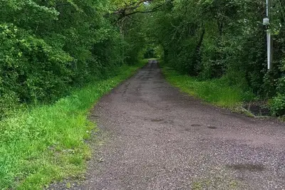 Image de Gîte indépendant pouvant accueillir jusqu'à 6 personnes, situé dans une forêt.