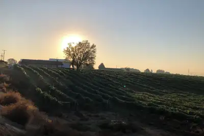 Image de Vineyard views at Dichotomy Vineyards guest house in the Yakima Valley
