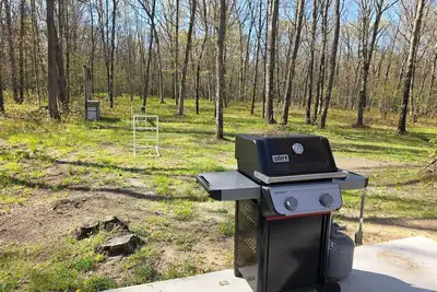 Image de Bourbon St BlueBird Bus on 10 Acres Dog Friendly