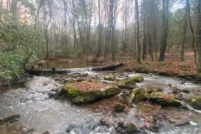 Image de New cabin 1 mile from Blue Ridge Parkway. Minutes from Appalachian Trail\n\n\n\n\n