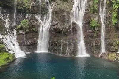 Image de Ti kaz palmiers très fonctionnelle