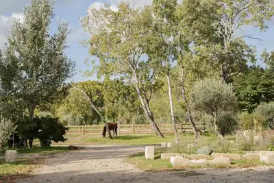 Image de Domaine Cap Rubis, ancien moulin à huile rénové avec charme par un antiquaire.