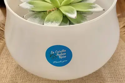 Image de Grandma Rosa's Little House