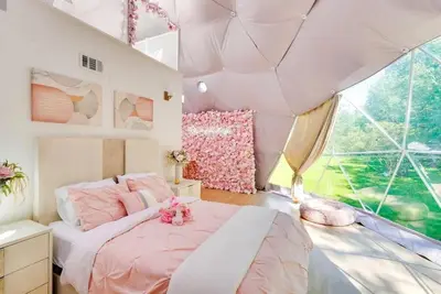 Image de Rosé All Day Geodome - Unique Escapes \"Rosé All Day\" Dog Friendly Geodome