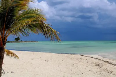 À quelques pas d'une plage paradisiaque, avec piscine et quai pour bateau