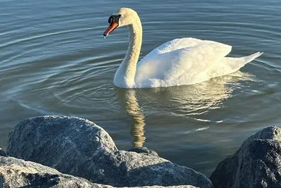 Image de Water View Cozy Getaway- beach/ fishing/ pool