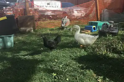 Image de My house in Longview Wa. Complete remodel in one month. I’m in the process of