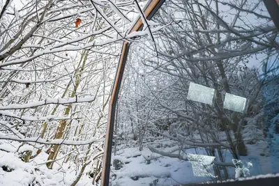 Image de Sustainable Green Tiny House Pioneer in the Harz Mountains with panoramic views