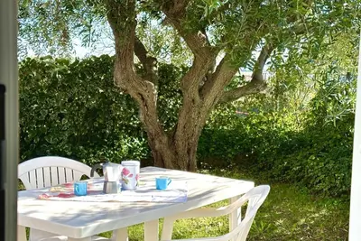 Image de Palme 10 - Marcelli, two-room apartment with garden, Residence Le Palme