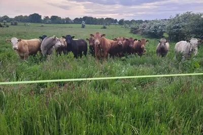 Image de Immaculate 2-Bed Cottage in Tuam