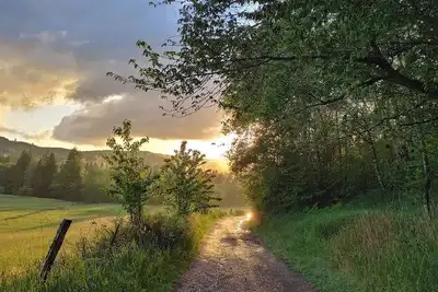 Image de Log Home with Mountain Views located on the Satsop River