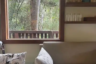 Image de Cosy Cabin in Ancient Rainforest Barrington Tops