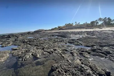 Image de Harmony by the beach-100m