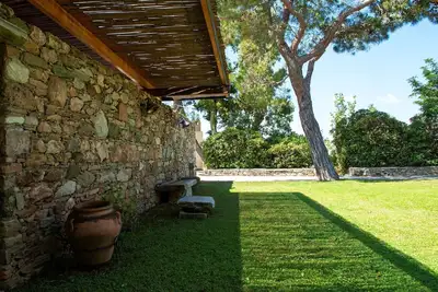Image de Montofoli Wine Estate