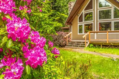 Image de Cottonwood Chalet - Great Getaway near Mount Rainier