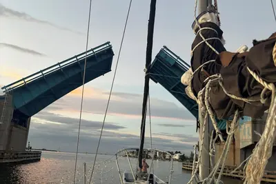 Image de “The Spot”\nGuaranteed Dolphin and Sea Life Sightings!