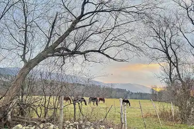 Image de Spacious 5-bedroom house with WiFi and Ac in wonderful Manchester Ctr