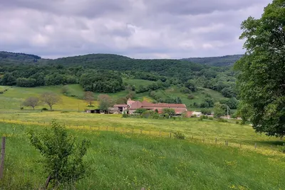 Image de Entre vignes et forêts en Mâconnais