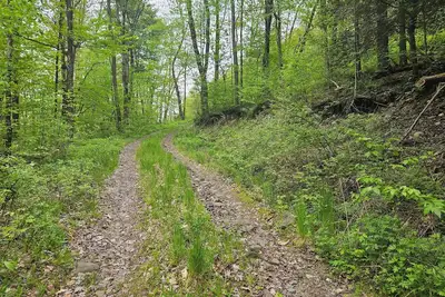 Image de Family and pet friendly campsite. \nCamp by a brook in a serene mountain setting