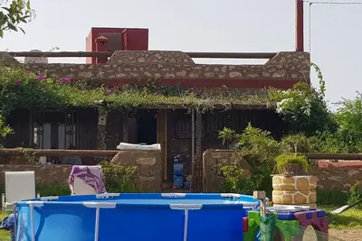 Image de Maison la branche d oiseaux