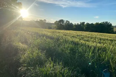 Image de beautiful family country house