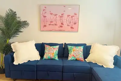 Image de Flamingle in Palm Harbor