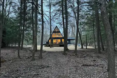 Hidden gem, nestled in the woods on Lake Bellaire.