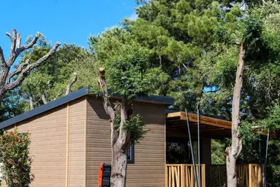 Chalet Bucòlicu avec vue étang (Gamme Exclusive) - Dimanche/Dimanche - 5 personnes
