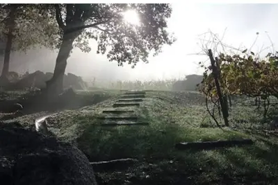 Image de Cozy rural retreat with vineyards just 2. 5 km from heritage city of GuimarĂŁes